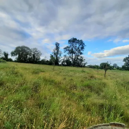 Les Coccinelles Adilly