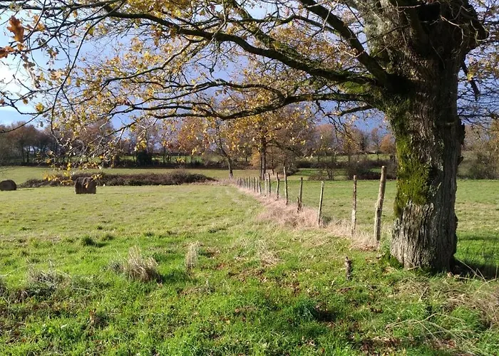 펜션 Les Coccinelles Adilly