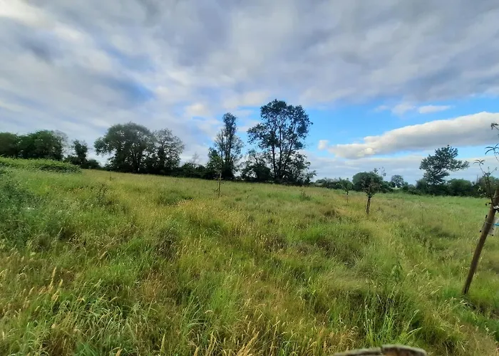 Les Coccinelles Adilly